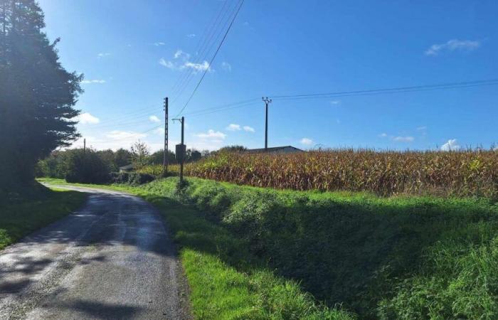 Tentativo di omicidio in un campo di grano in Bretagna