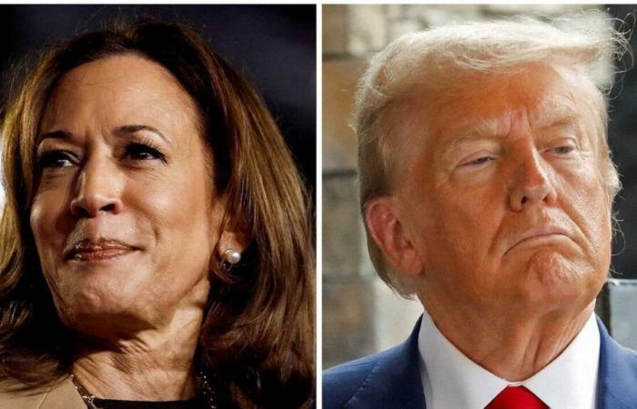 È il momento dell'appello finale per Kamala Harris e Donald Trump