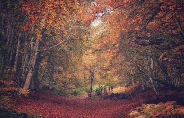 IMMAGINI. Quando l'autunno esalta i paesaggi dell'Alvernia