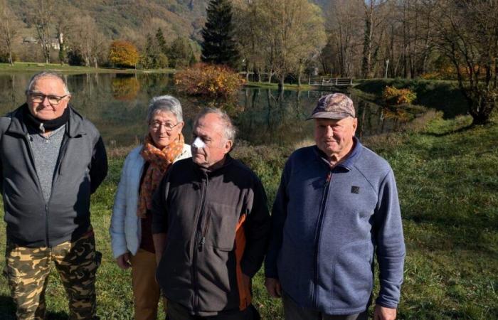 Alta Savoia: i pescatori del lago di Marlens sono in guerra con i grandi cormorani