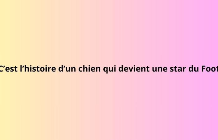 hai una brutta memoria se non riconosci queste 10 commedie francesi mal riassunte