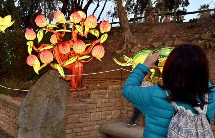 FOTO – Le luci dell'Africa nella Riserva africana di Sigean: magia visiva vicino a Narbonne