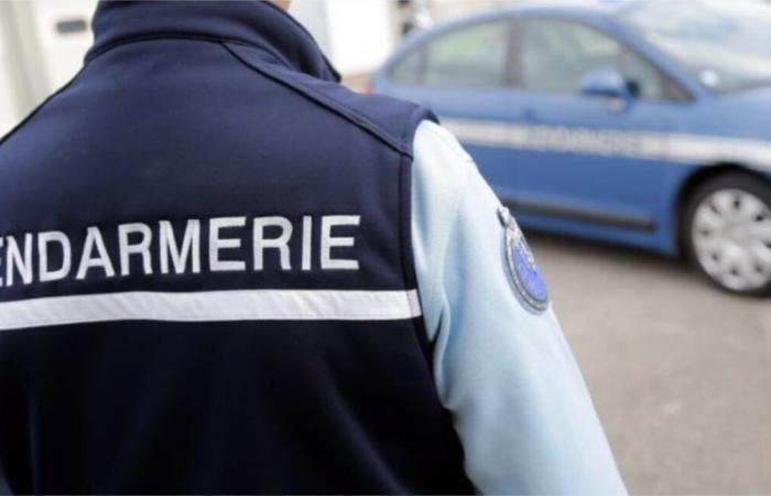 arrestati e posti in custodia due minorenni per violenza e aggressione a Mauriac