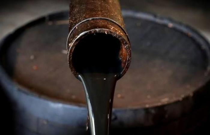 RDC: il CDC lancia la campagna “La nostra terra senza petrolio” per l'annullamento del bando di gara per lo sfruttamento dei 27 blocchi petroliferi nella RDC