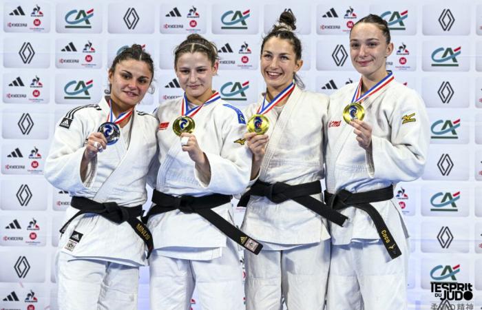 Campionati francesi seniores di 1a divisione 2024