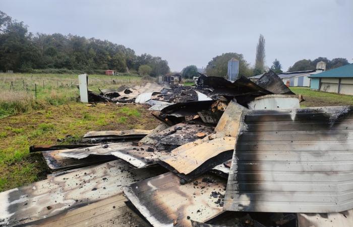 8.000 polli muoiono in un incendio nel Loiret orientale, un problema per l'allevatore che “stava già lottando per sopravvivere”