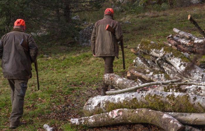 Ferito da arma da fuoco, un cacciatore muore durante una battuta di caccia, l'accusa non esclude alcuna pista