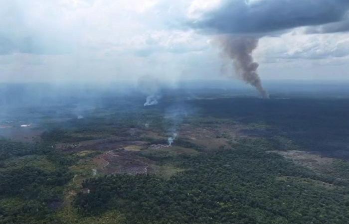 Di fronte alla siccità e agli incendi, ad Amapa è stato dichiarato lo stato di emergenza sanitaria pubblica