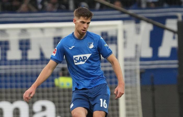 Prima di affrontare l'OL, l'Hoffenheim è nei suoi panni piccoli