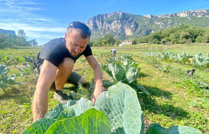 Per rifornire il suo ristorante di Mandelieu di verdure locali, ha acquistato una fattoria nell'entroterra