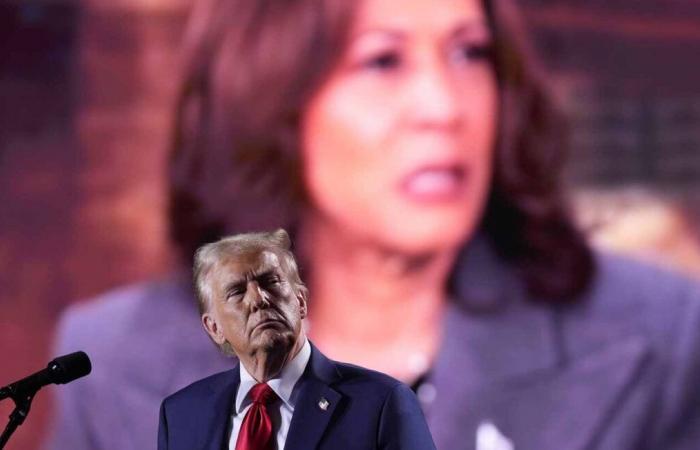 Kamala Harris e Donald Trump gettano le loro ultime forze nella battaglia…