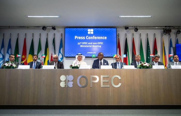 L’OPEC+ rinvia la produzione, il prezzo del petrolio aumenta