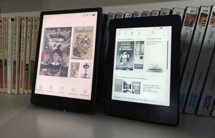 Gli svantaggi degli e-reader digitali che dovrebbero essere menzionati