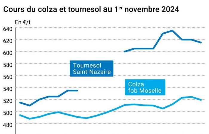 COTidienne | Semi oleosi – I prezzi della colza Euronext si riducono leggermente sotto l'effetto delle vendite tecniche mentre quelli della soia americana registrano un lieve recupero