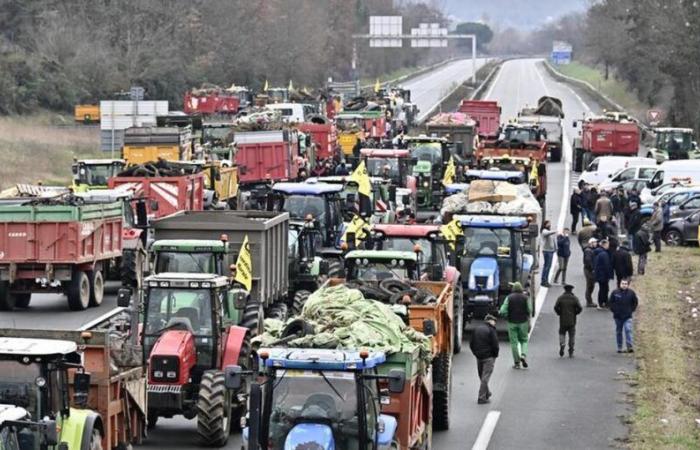 perché la coppa è piena e la rabbia non può più essere contenuta