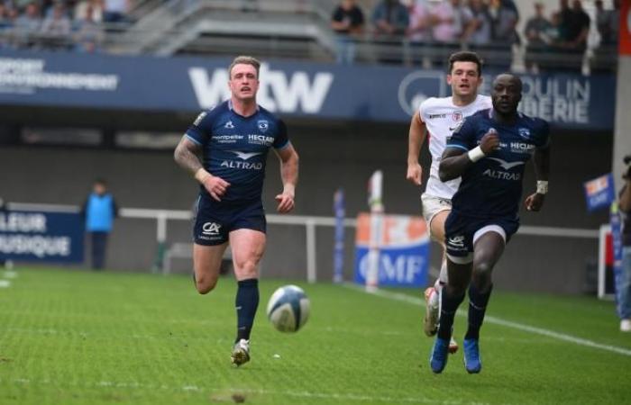 Stuart Hogg si dichiara colpevole di molestie domestiche