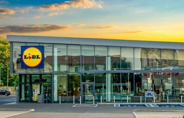 “Sono un addetto alla manutenzione della Lidl, ecco quanto guadagno”