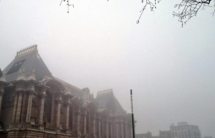 Météo France annuncia nuovamente banchi di nebbia