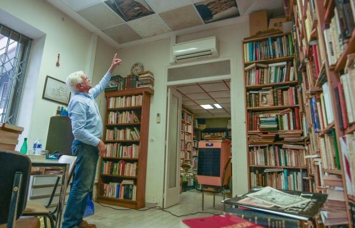 “Ho trovato 800 libri che galleggiavano in 5 centimetri d'acqua”, si preoccupa il libraio di Perpignan dopo il maltempo