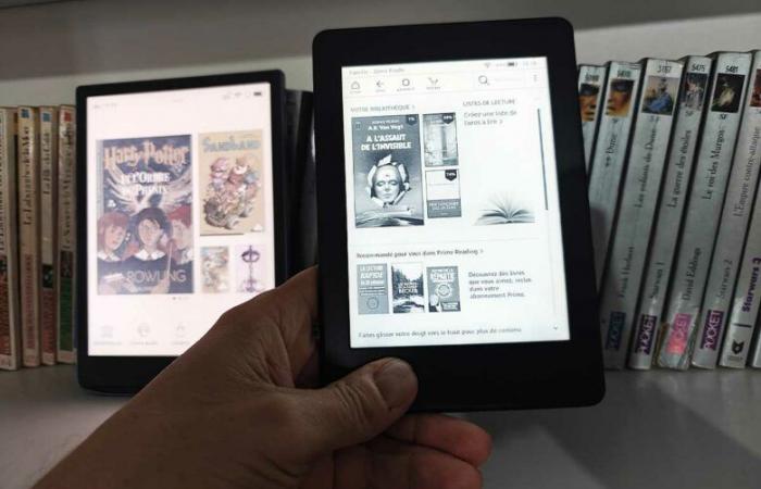 Gli svantaggi degli e-reader digitali che dovrebbero essere menzionati