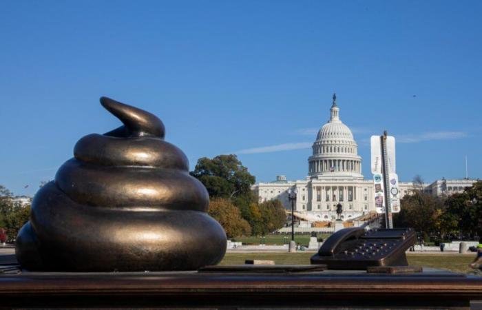 Un giorno prima delle elezioni americane, davanti al Campidoglio compaiono mini cacca di bronzo