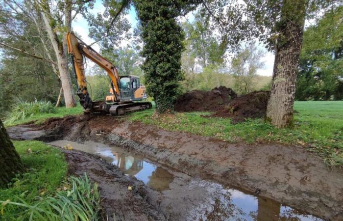 progetti realizzati per “rinaturalizzare” il fiume Isle, in Dordogna