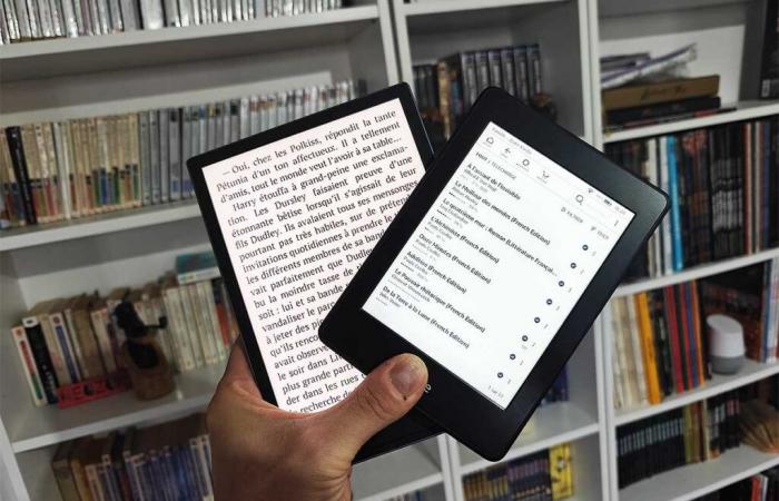 Gli svantaggi degli e-reader digitali che dovrebbero essere menzionati