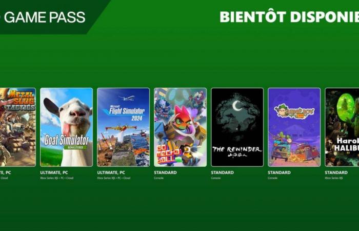 Xbox Game Pass Novembre 2024: 8 nuovi giochi e 5 aggiunti all'offerta Standard | Xbox