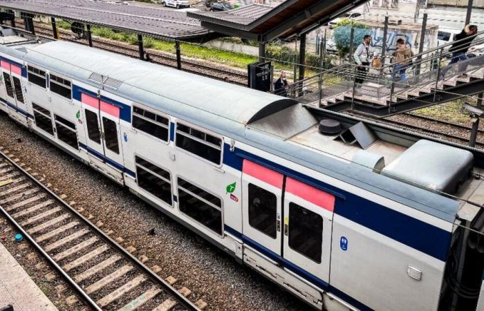 Quattro persone ferite, due gravemente, a colpi d'ascia, nella RER E alla stazione di Ozoir-la-Ferrière