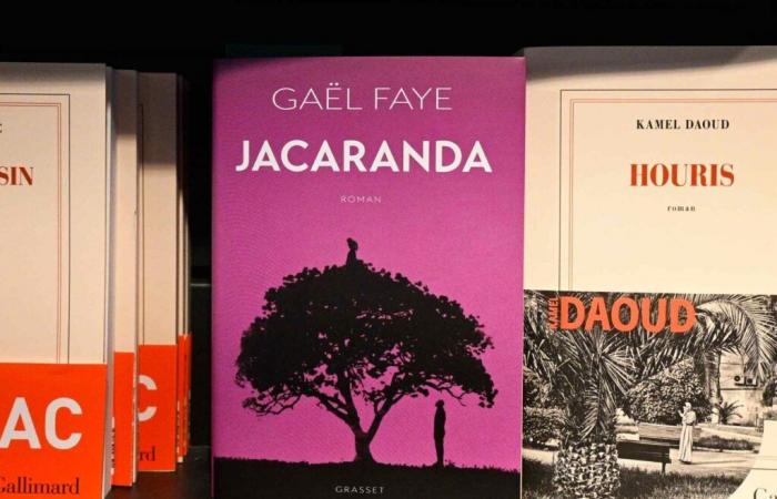 Il premio Goncourt assegnato a Kamel Daoud, Gaël Faye ottiene il Renaudot