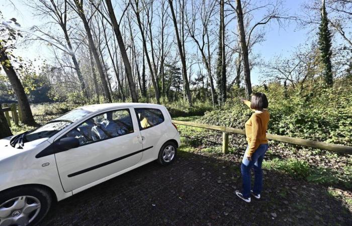 Video. Biancheria intima usata, preservativi e fazzoletti, violenza, questa Lot-et-Garonnaise vive con il “Bois de Boulogne” sotto le sue finestre