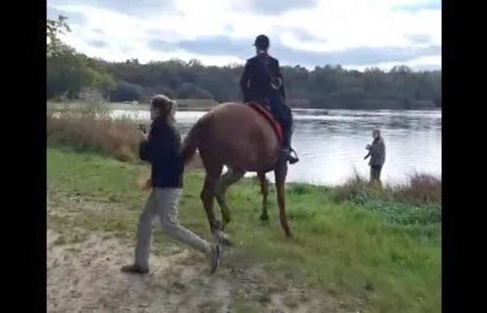 Tentato omicidio, caccia controversa, contadino arrabbiato, OLB e RCO inarrestabili… Il riepilogo del fine settimana nel Loiret