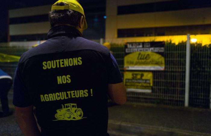 L’irrequieto Coordinamento rurale minaccia di bloccare il trasporto ferroviario del trasporto merci a partire dal 19 novembre