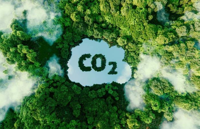 SNBC: La Francia si decarbonizzerà con meno pozzi di assorbimento del carbonio