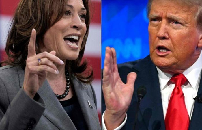 Sia che vinca Kamala Harris o Donald Trump, gli americani temono la violenza