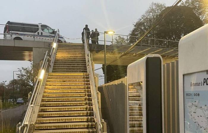 Accoltellamento mortale a Rennes. Un 18enne si è costituito alla polizia