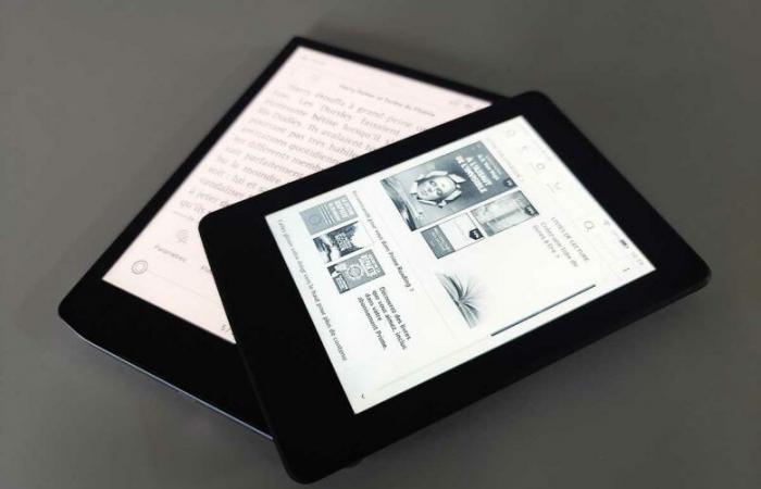 Gli svantaggi degli e-reader digitali che dovrebbero essere menzionati