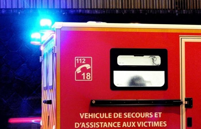 Gard. Un settantenne muore investito da un'auto ad Alès