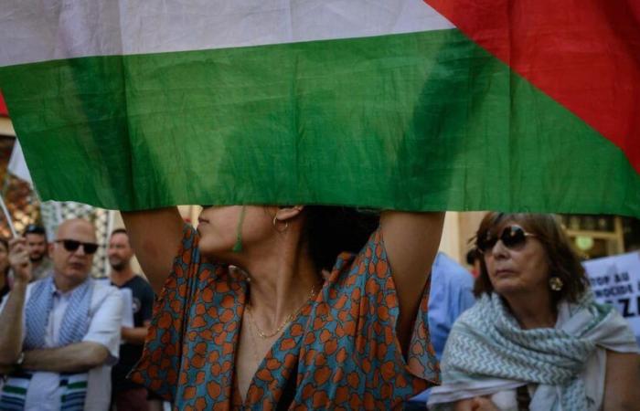 attivista filo-palestinese condannato a tre anni di carcere per una serie di commenti antisemiti