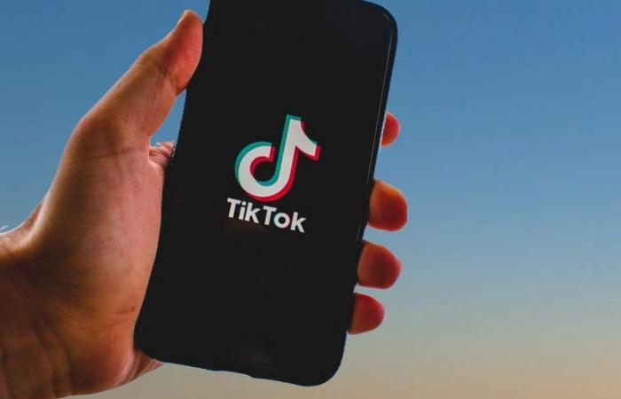 “L’algoritmo suggeriva sempre peggio, sulla depressione, o addirittura sulle scarificazioni”: sette famiglie francesi portano TikTok in tribunale, accusandolo di promuovere idee suicide