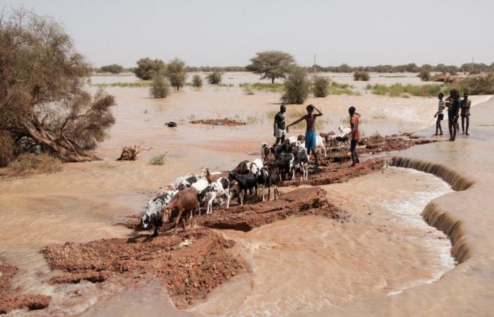 In Senegal, le inondazioni hanno costretto più di 56.000 persone a fuggire nella parte orientale del paese