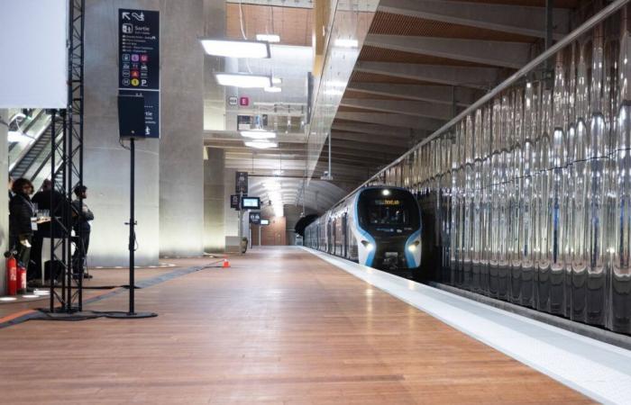 Cosa sappiamo dell'attacco con l'ascia alla piattaforma della RER E