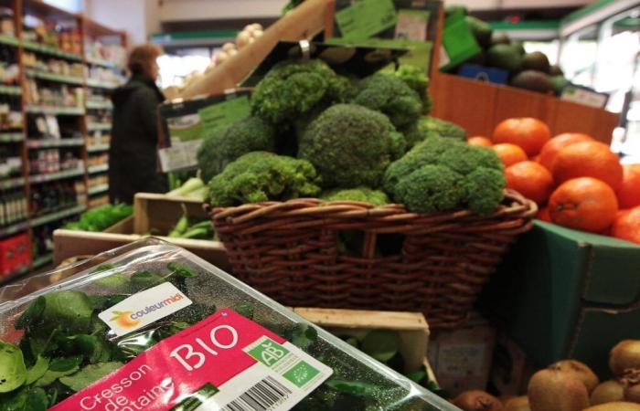 nel Lot-et-Garonne, l'agricoltura biologica resta con i piedi per terra