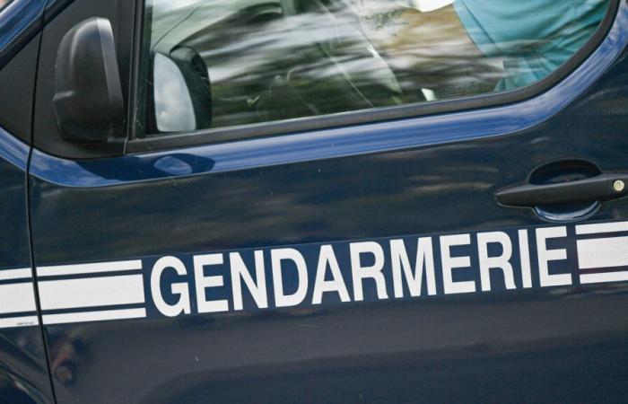 Mosella: lo scheletro di un uomo scoperto nella sua casa 15 anni dopo