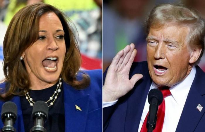 Kamala Harris in Pennsylvania, Trump terrà una serie di incontri alla vigilia delle elezioni