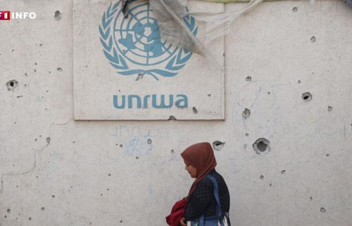 L'ONU ha ufficialmente notificato da Israele la cancellazione dell'accordo con l'UNRWA, la sua agenzia per i rifugiati