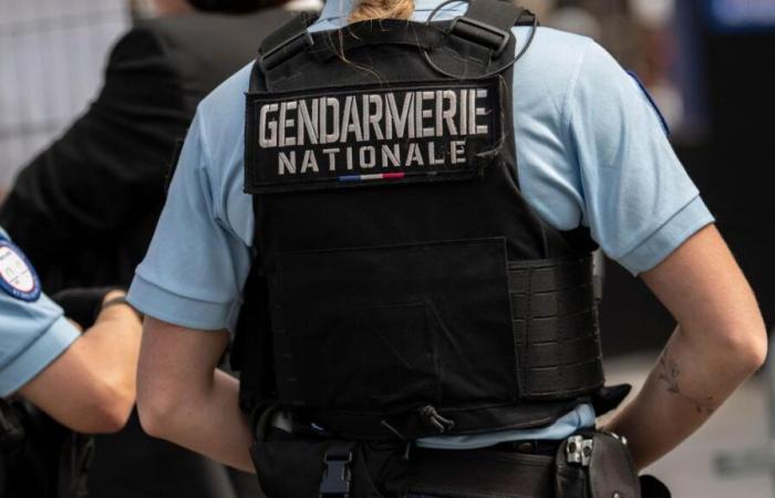 Violento combattimento con l'ascia in una RER vicino a Parigi: cosa sappiamo