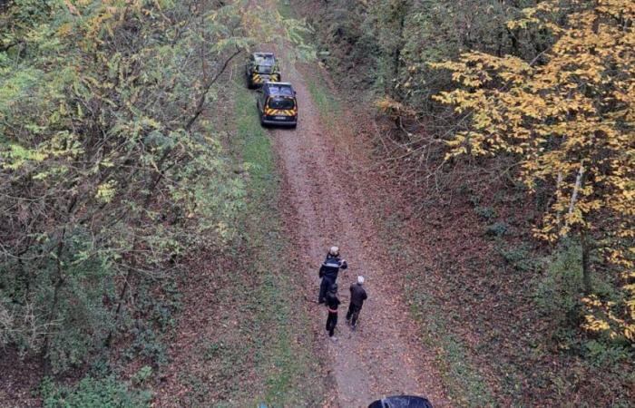 Mosella. Il corpo di un insegnante trovato senza vita durante una battuta di caccia a Blies-Ébersing