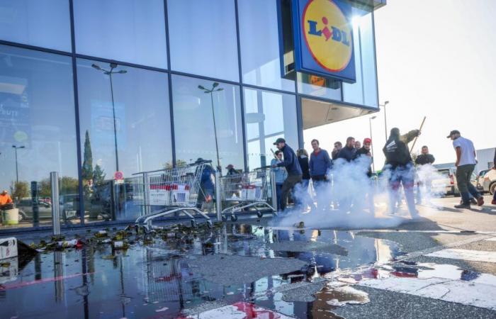 I viticoltori del Vaucluse rompono le bottiglie nonostante il taglio dei prezzi di Lidl