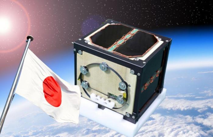 Il Giappone compie un’impresa globale con il primo satellite di legno al mondo, grande quanto una tazza di caffè ma incredibilmente resistente alle condizioni spaziali